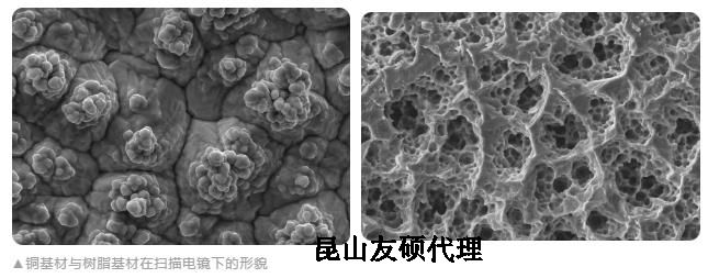 白城蔡司白城扫描电镜