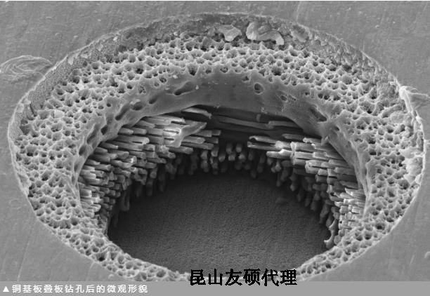 白城蔡司白城扫描电镜